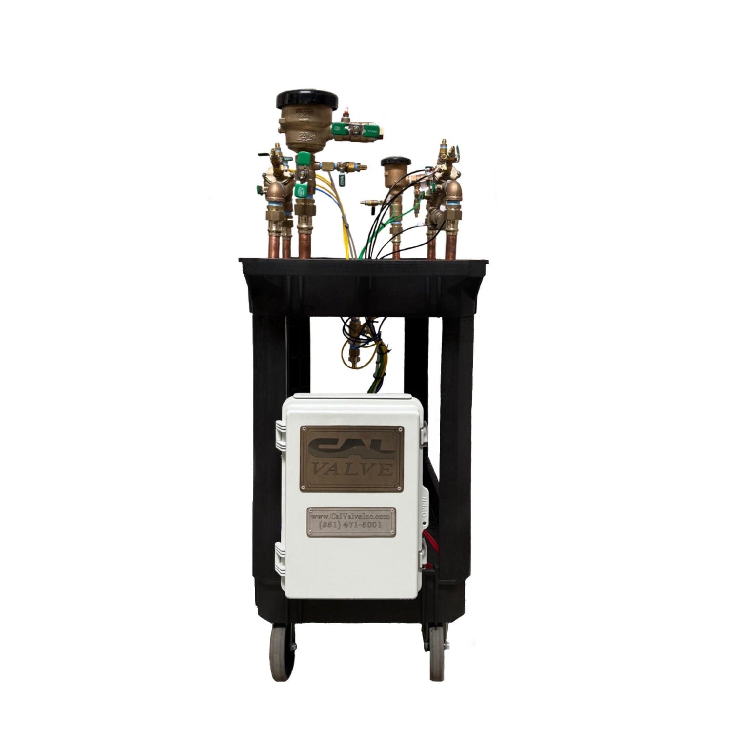 Advanced Backflow Simulation Station with Wilkins assemblies (34-350XL, 34-375XL, 34-460XL, 34-720A), complete training cart, 5-needle gauge procedures, booklet, and instructional USB videos for certified tester training.